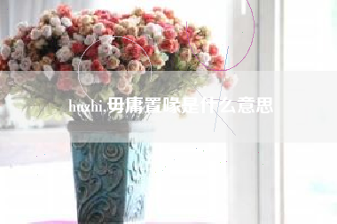 huzhi,毋庸置喙是什么意思