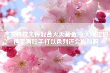 广发科技先锋混合天天基金,今天阿拉伯国家再联手打以色列还会惨败吗