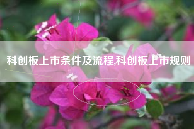 科创板上市条件及流程,科创板上市规则
