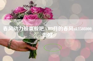 春风动力股票股吧,1505月的春风nk1508000贵吗