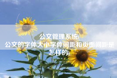 公文管理系统(
公文的字体大小字体间距和页面间距是怎样的) 公文管理系统(
公文的字体大小字体间距和页面间距是怎样的)