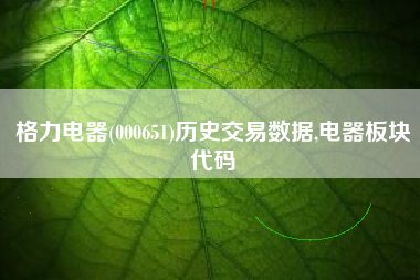 格力电器(000651)历史交易数据,电器板块代码