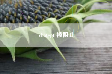 chatgpt 被阻止