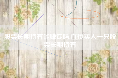 股票长期持有能赚钱吗,直接买入一只股票长期持有