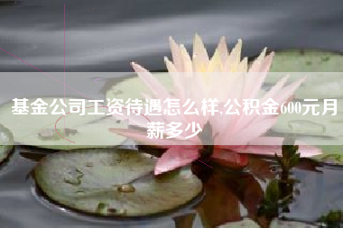 基金公司工资待遇怎么样,公积金600元月薪多少