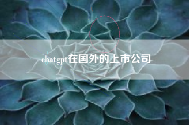 chatgpt在国外的上市公司