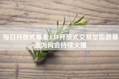 每日开放式基金,ETF开放式交易型指数基金为何会持续火爆