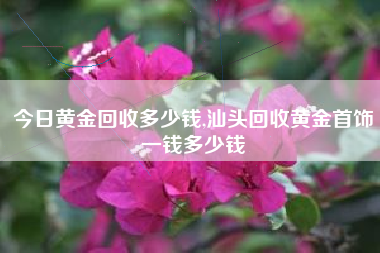 今日黄金回收多少钱,汕头回收黄金首饰一钱多少钱