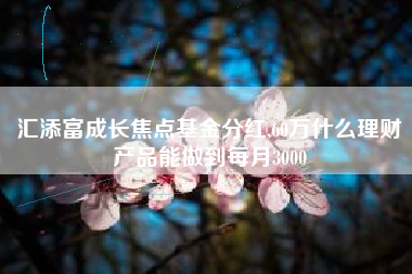 汇添富成长焦点基金分红,60万什么理财产品能做到每月3000
