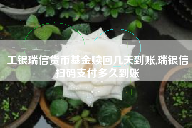工银瑞信货币基金赎回几天到账,瑞银信扫码支付多久到账