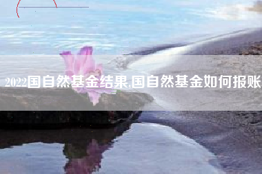2022国自然基金结果,国自然基金如何报账