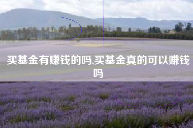 买基金有赚钱的吗,买基金真的可以赚钱吗