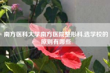 南方医科大学南方医院整形科,选学校的原则有哪些