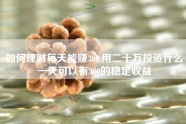 如何理财每天能赚300,用二十万投资什么一天可以有300的稳定收益