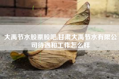 详细阅读:大禹节水股票股吧,甘肃大禹节水有限公司待遇和工作怎么样 大禹节水股票股吧,甘肃大禹节水有限公司待遇和工作怎么样