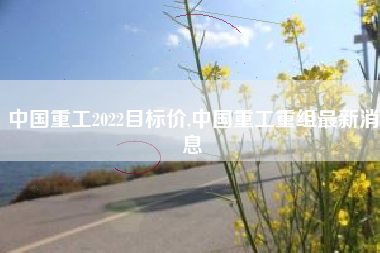 中国重工2022目标价,中国重工重组最新消息