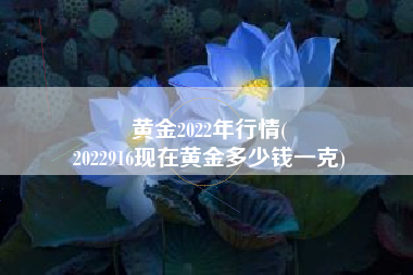 黄金2022年行情(
2022916现在黄金多少钱一克) 黄金2022年行情(
2022916现在黄金多少钱一克)