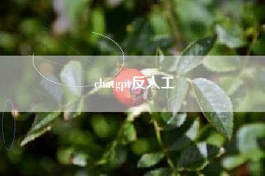 chatgpt反人工