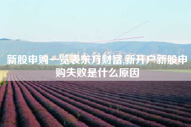 新股申购一览表东方财富,新开户新股申购失败是什么原因