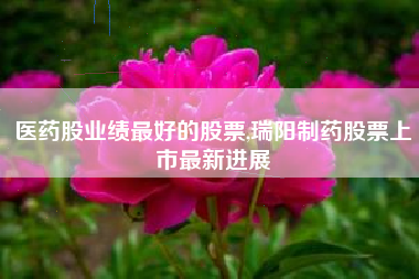 医药股业绩最好的股票,瑞阳制药股票上市最新进展