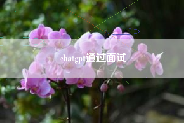 chatgpt通过面试