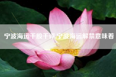 宁波海运千股千评,宁波海运解禁意味着