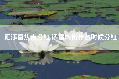 汇添富焦点分红,添富均衡什么时候分红