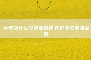 今年买什么股票最赚钱,还是买股票收益高