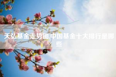 天弘基金走势图,中国基金十大排行是哪些