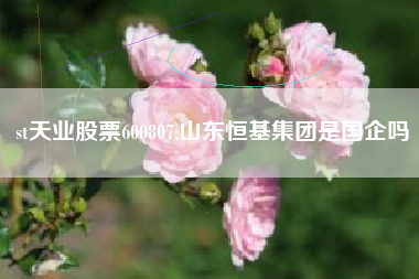 st天业股票600807,山东恒基集团是国企吗