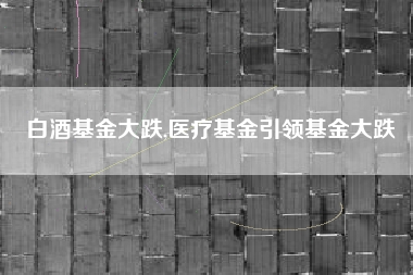 白酒基金大跌,医疗基金引领基金大跌