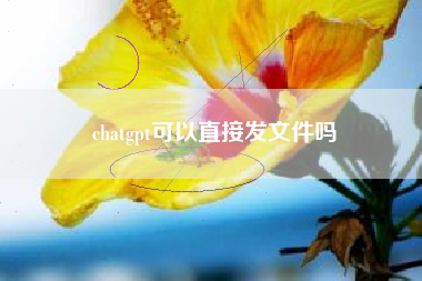 chatgpt可以直接发文件吗