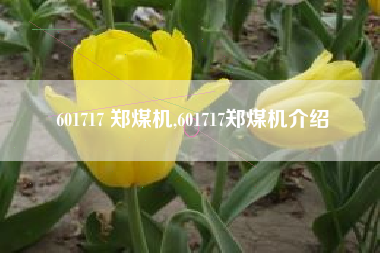 601717 郑煤机,601717郑煤机介绍