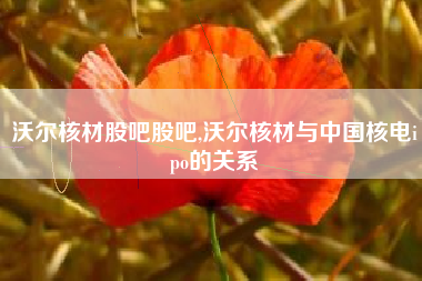 详细阅读:沃尔核材股吧股吧,沃尔核材与中国核电ipo的关系 沃尔核材股吧股吧,沃尔核材与中国核电ipo的关系