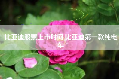 比亚迪股票上市时间,比亚迪第一款纯电车