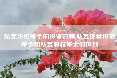 私募股权基金的投资流程,私募证券投资基金和私募股权基金的区别