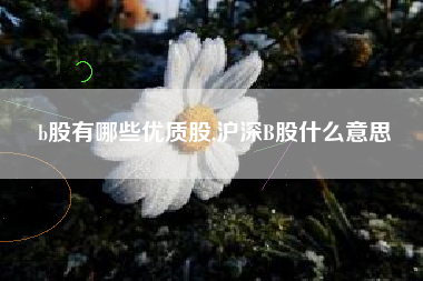 b股有哪些优质股,沪深B股什么意思
