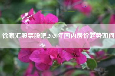 详细阅读:徐家汇股票股吧,2020年国内房价起势如何 徐家汇股票股吧,2020年国内房价起势如何