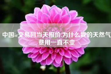 中国ic交易网当天报价,为什么我的天然气费用一直不变