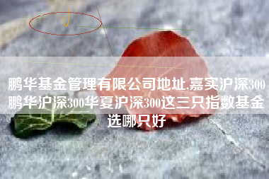 鹏华基金管理有限公司地址,嘉实沪深300鹏华沪深300华夏沪深300这三只指数基金选哪只好