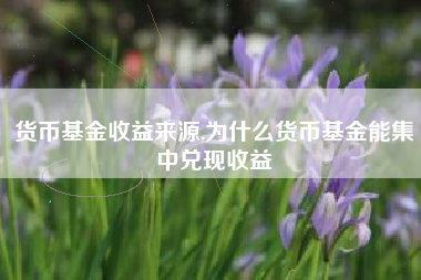 货币基金收益来源,为什么货币基金能集中兑现收益
