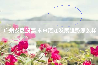 广州发展股票,未来湛江发展趋势怎么样