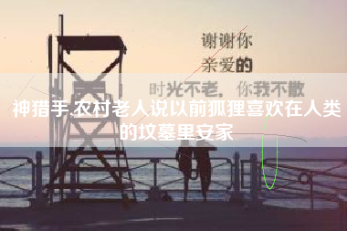 详细阅读:神猎手,农村老人说以前狐狸喜欢在人类的坟墓里安家 神猎手,农村老人说以前狐狸喜欢在人类的坟墓里安家
