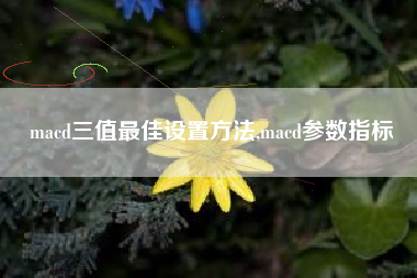 macd三值最佳设置方法,macd参数指标