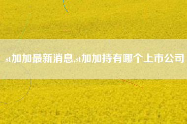 st加加最新消息,st加加持有哪个上市公司