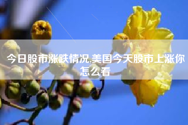今日股市涨跌情况,美国今天股市上涨你怎么看