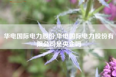 华电国际电力股份,华电国际电力股份有限公司是央企吗