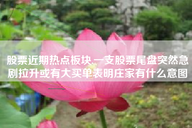 股票近期热点板块,一支股票尾盘突然急剧拉升或有大买单表明庄家有什么意图