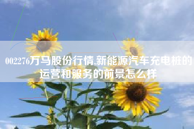 002276万马股份行情,新能源汽车充电桩的运营和服务的前景怎么样