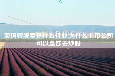 亚玛顿股票是什么行业,为什么上市公司可以拿钱去炒股